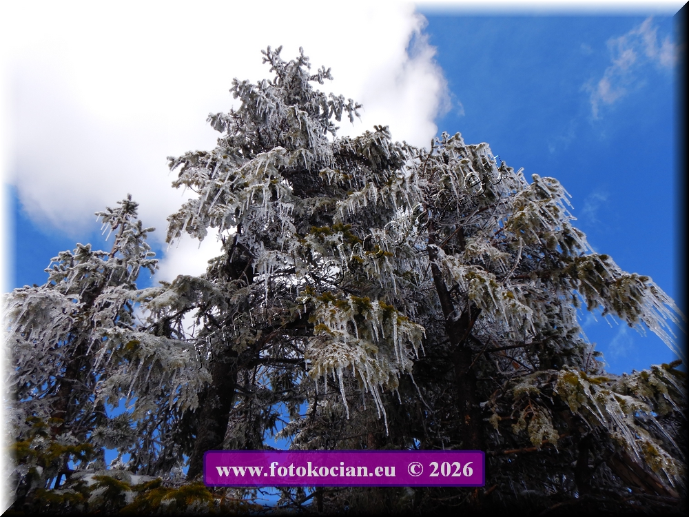 Náhled obrázku: DSCN2256.JPG