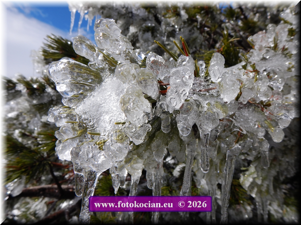 Náhled obrázku: DSCN2260.JPG