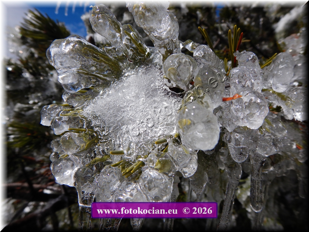 Náhled obrázku: DSCN2261.JPG