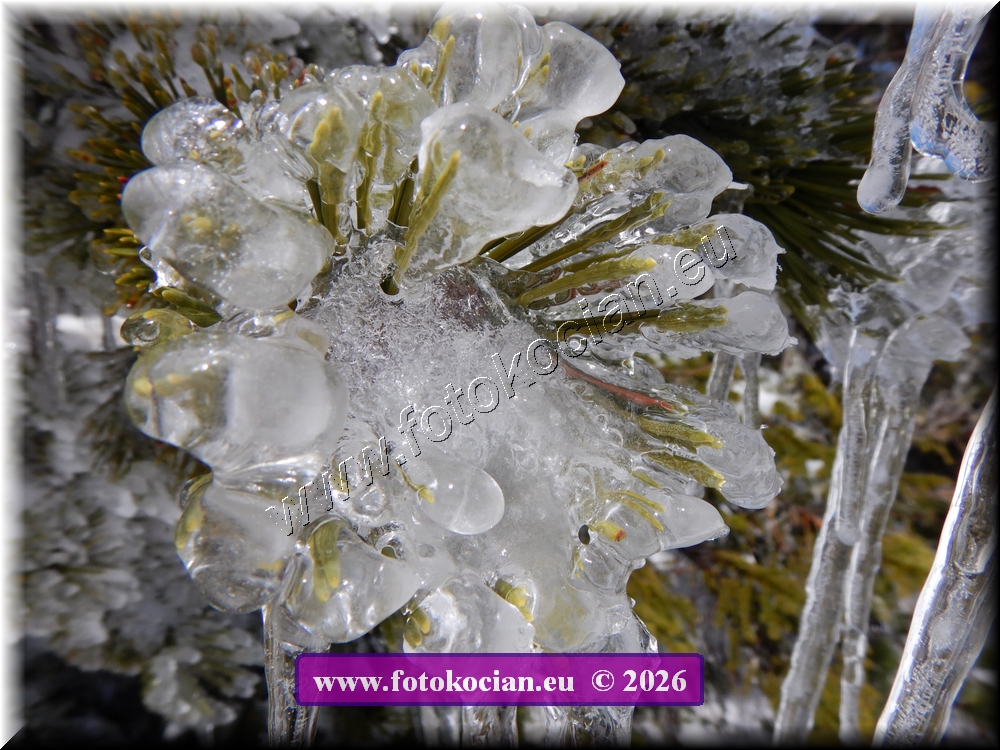 Náhled obrázku: DSCN2263.JPG