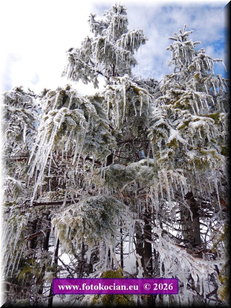 Náhled obrázku: DSCN2266.JPG