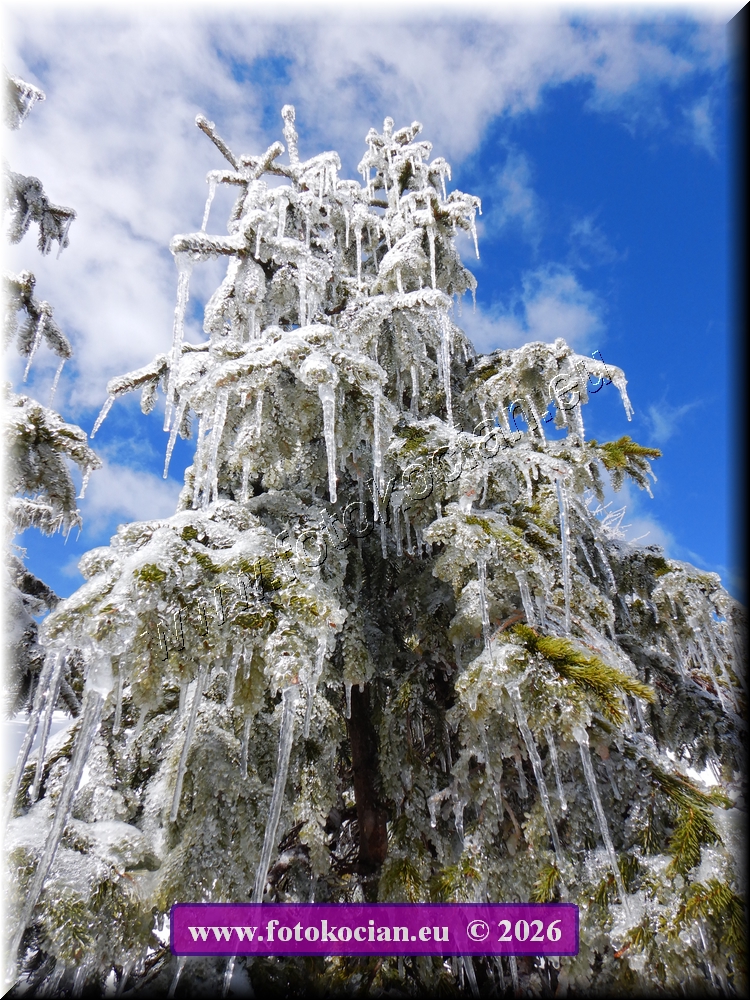 Náhled obrázku: DSCN2269.JPG