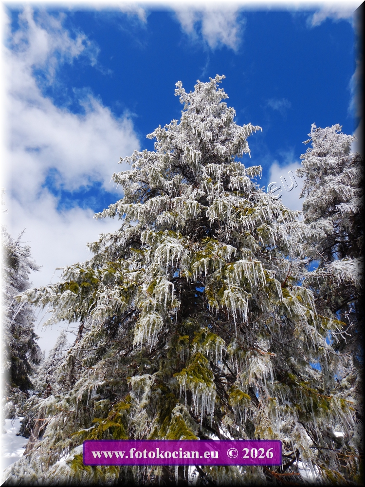 Náhled obrázku: DSCN2270.JPG