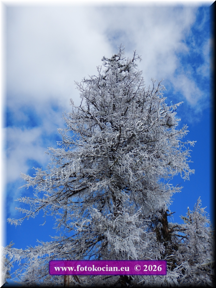 Náhled obrázku: DSCN2271.JPG