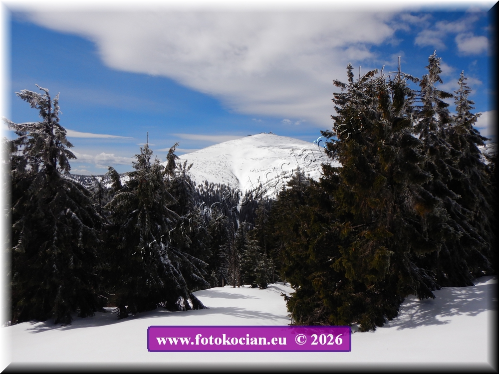 Náhled obrázku: DSCN2281.JPG