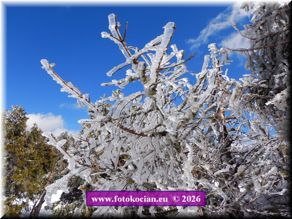 Náhled obrázku: DSCN2282.JPG