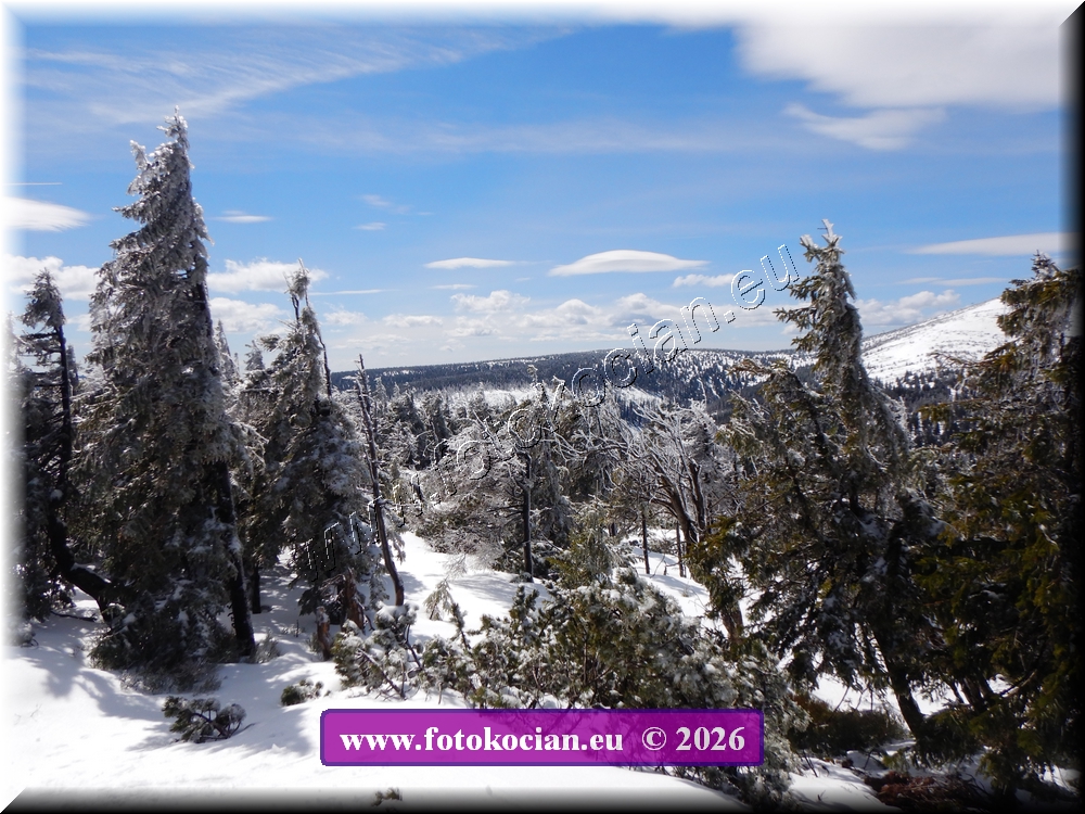 Náhled obrázku: DSCN2283.JPG