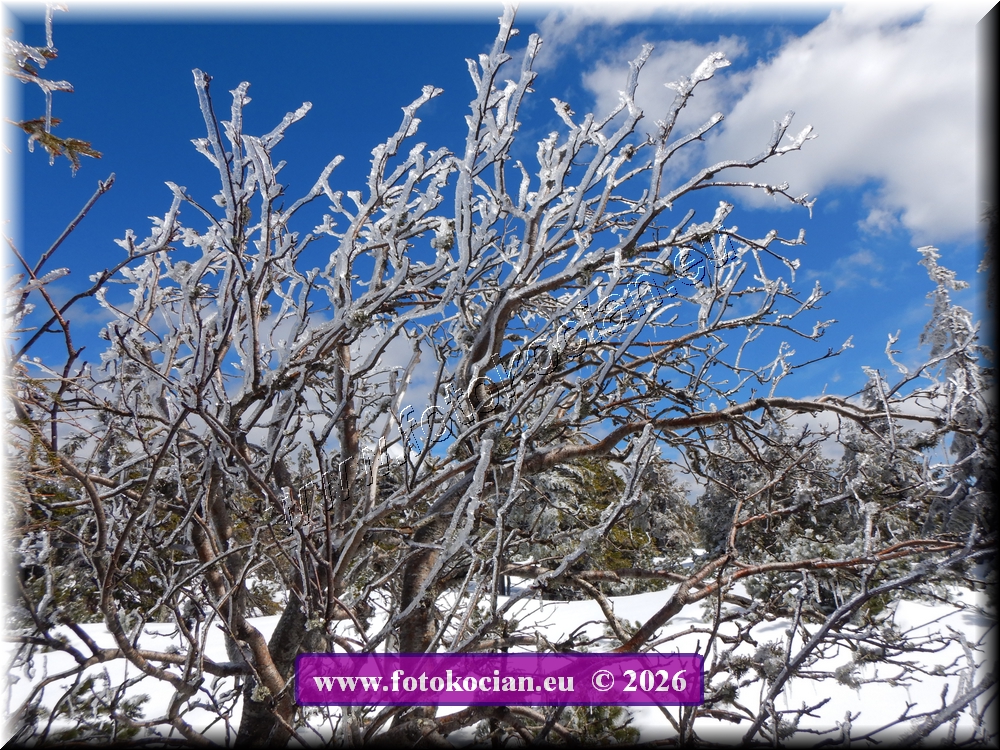 Náhled obrázku: DSCN2284.JPG