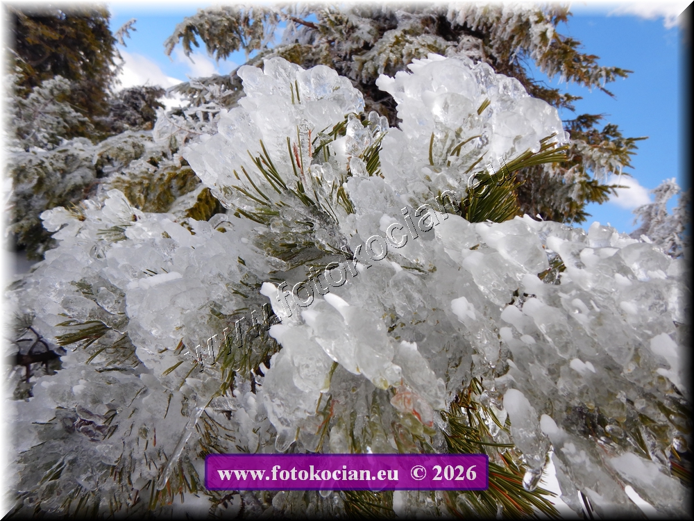 Náhled obrázku: DSCN2285.JPG