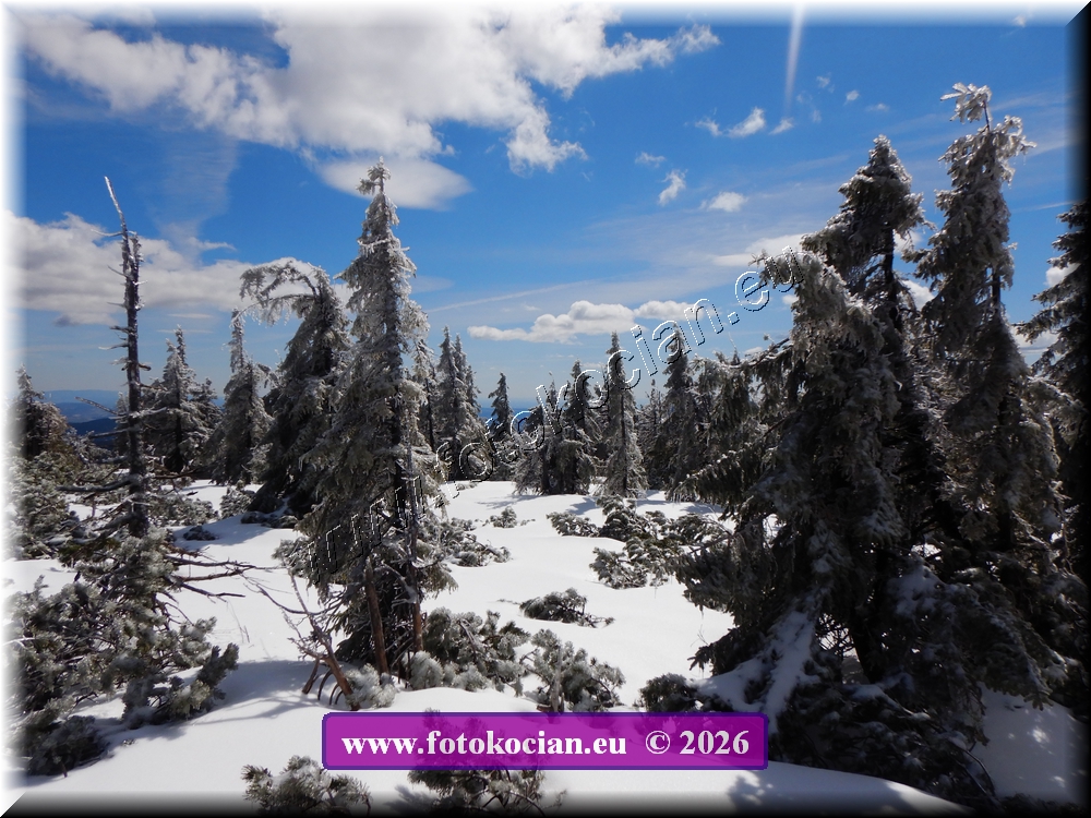 Náhled obrázku: DSCN2286.JPG