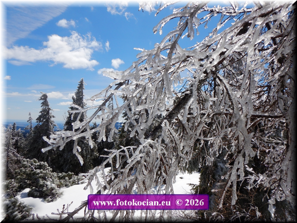 Náhled obrázku: DSCN2289.JPG