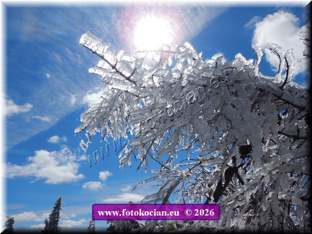 Náhled obrázku: DSCN2290.JPG