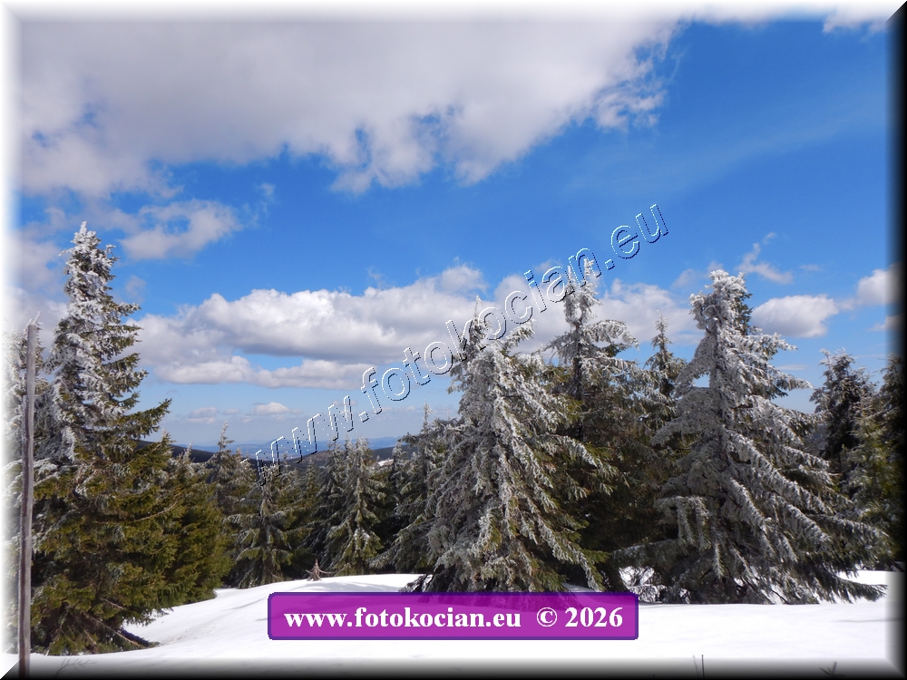 Náhled obrázku: DSCN2292.JPG