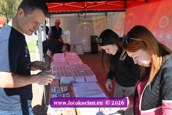 D50_3339.JPG