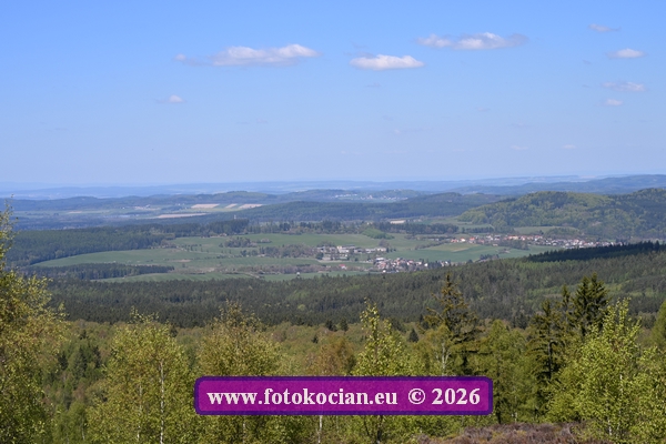 ZO6_1450.JPG