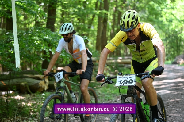 2026-2185-Plzen-190,13.JPG