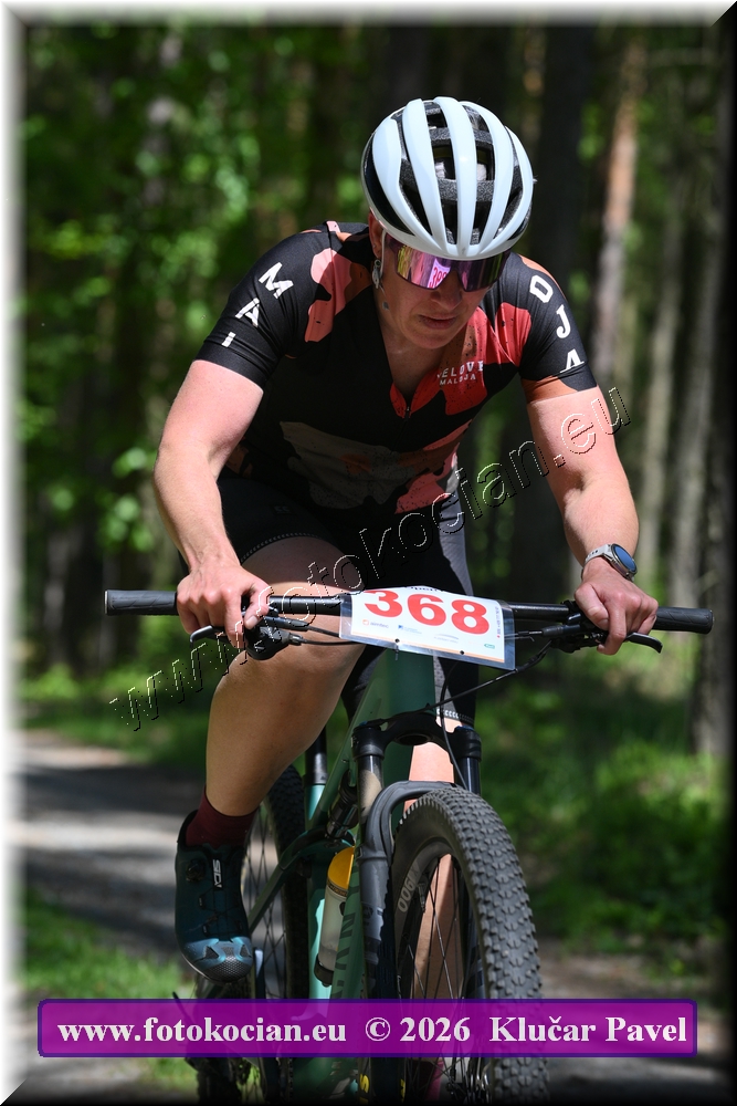 Náhled obrázku: 2026-6198-Plzen-368.JPG