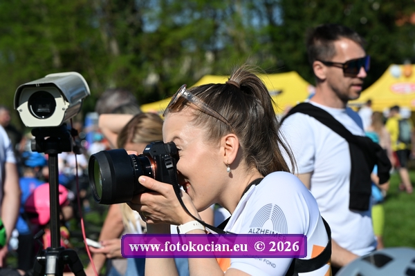 2026-3145-Plzen-.JPG
