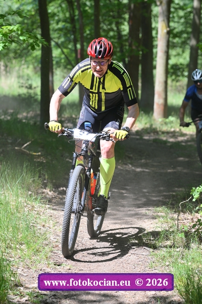 2026-5742-Plzen-67.JPG