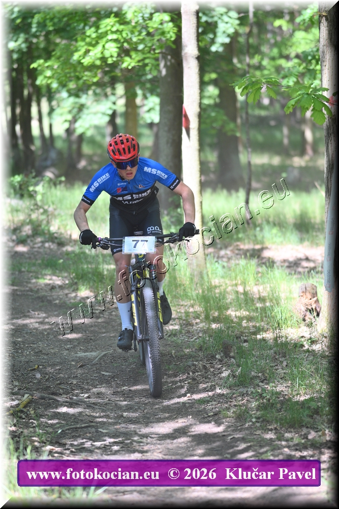 Náhled obrázku: 2026-5605-Plzen-77.JPG