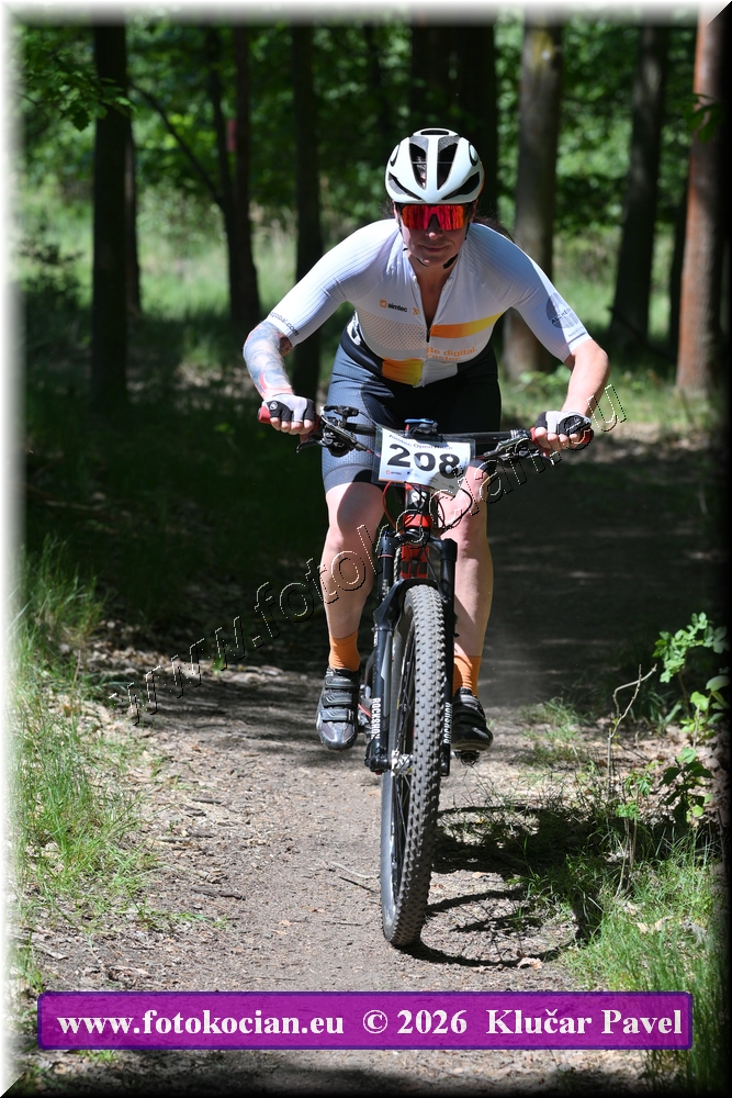 Náhled obrázku: 2026-5823-Plzen-208.JPG