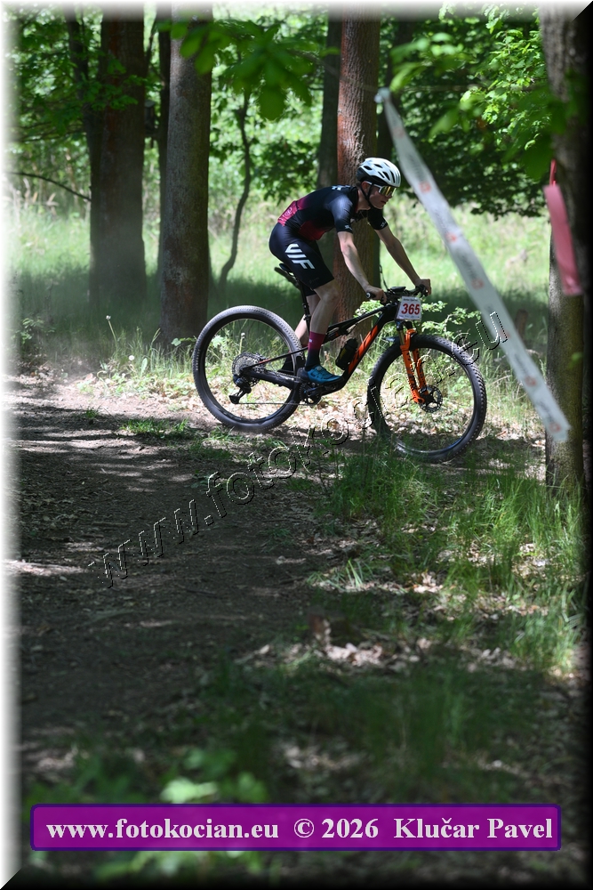 Náhled obrázku: 2026-5871-Plzen-365.JPG