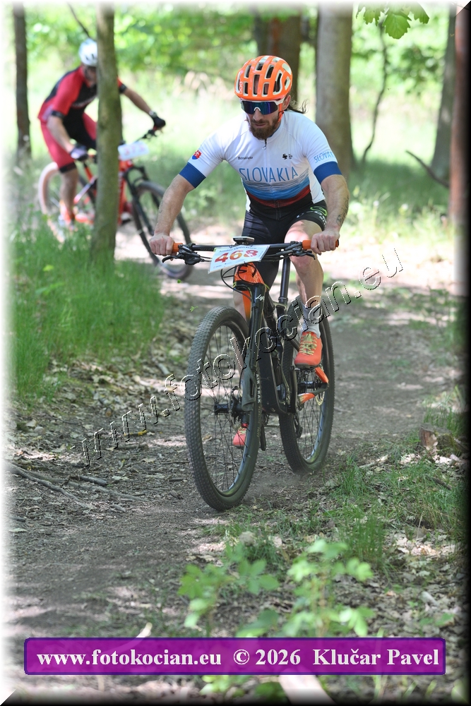Náhled obrázku: 2026-5881-Plzen-468.JPG
