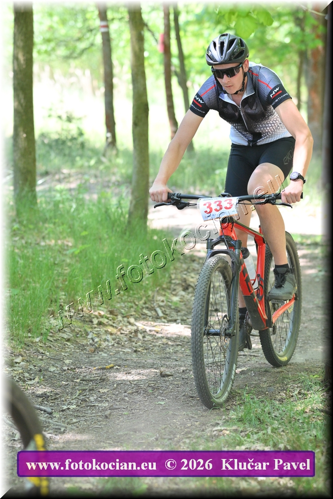 Náhled obrázku: 2026-5895-Plzen-333.JPG