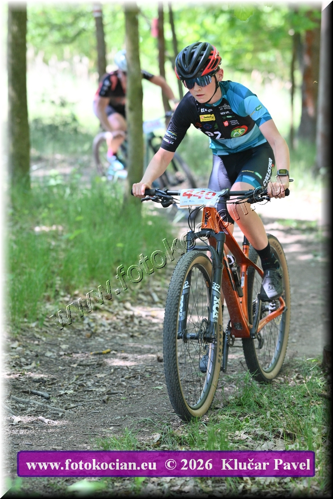 Náhled obrázku: 2026-5905-Plzen-440.JPG