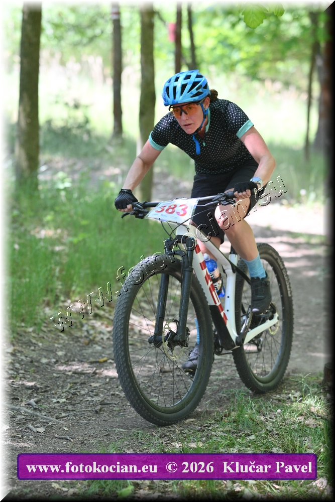 Náhled obrázku: 2026-5928-Plzen-383.JPG