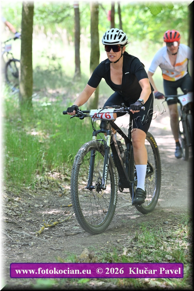 Náhled obrázku: 2026-5974-Plzen-476.JPG