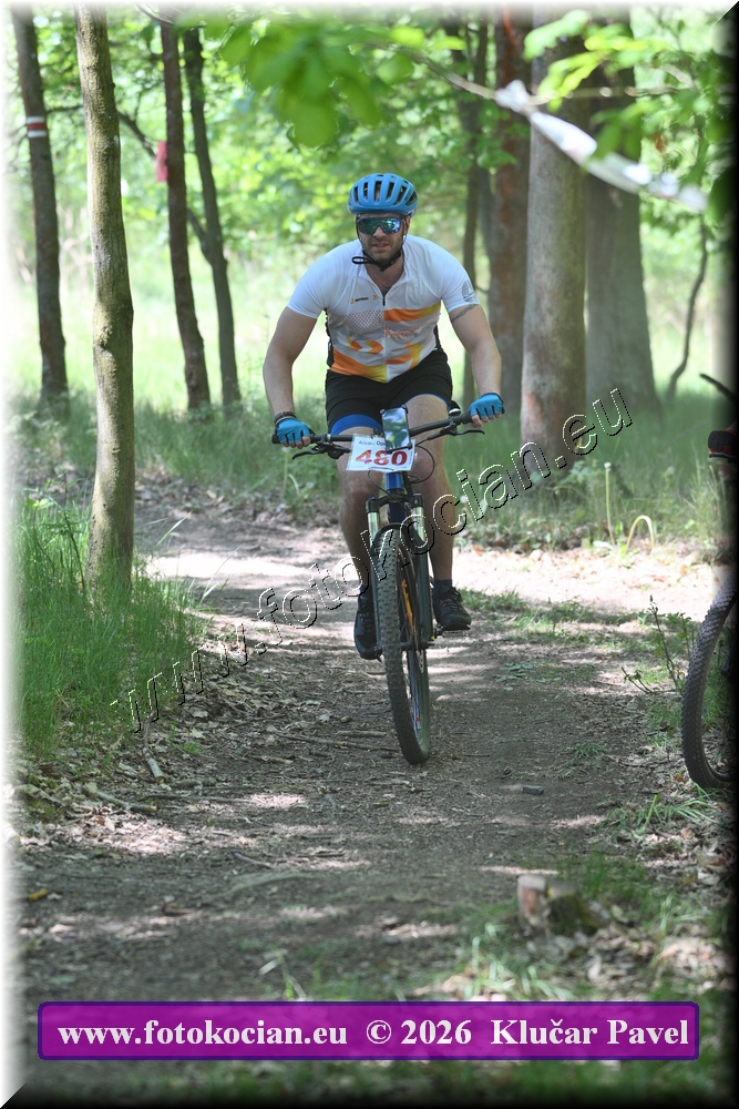 Náhled obrázku: 2026-6057-Plzen-480.JPG