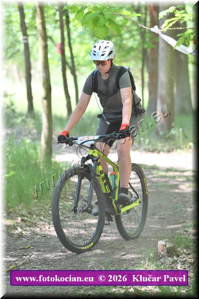 Náhled obrázku: 2026-6059-Plzen-353.JPG