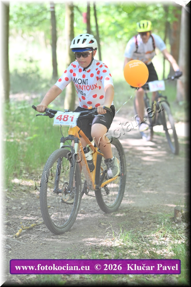 Náhled obrázku: 2026-6073-Plzen-481.JPG