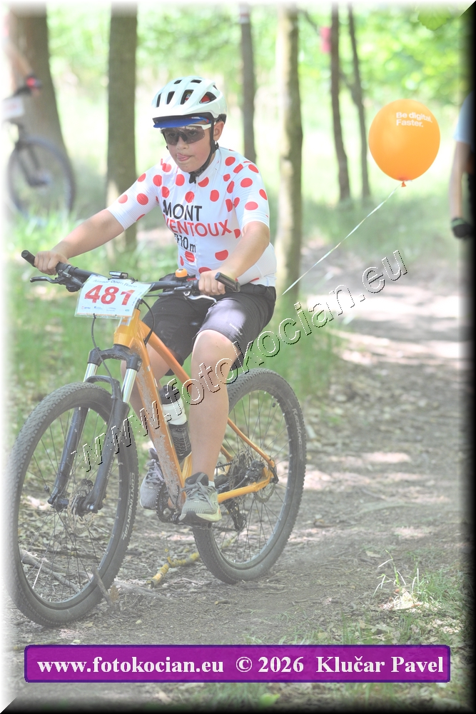 Náhled obrázku: 2026-6074-Plzen-481.JPG
