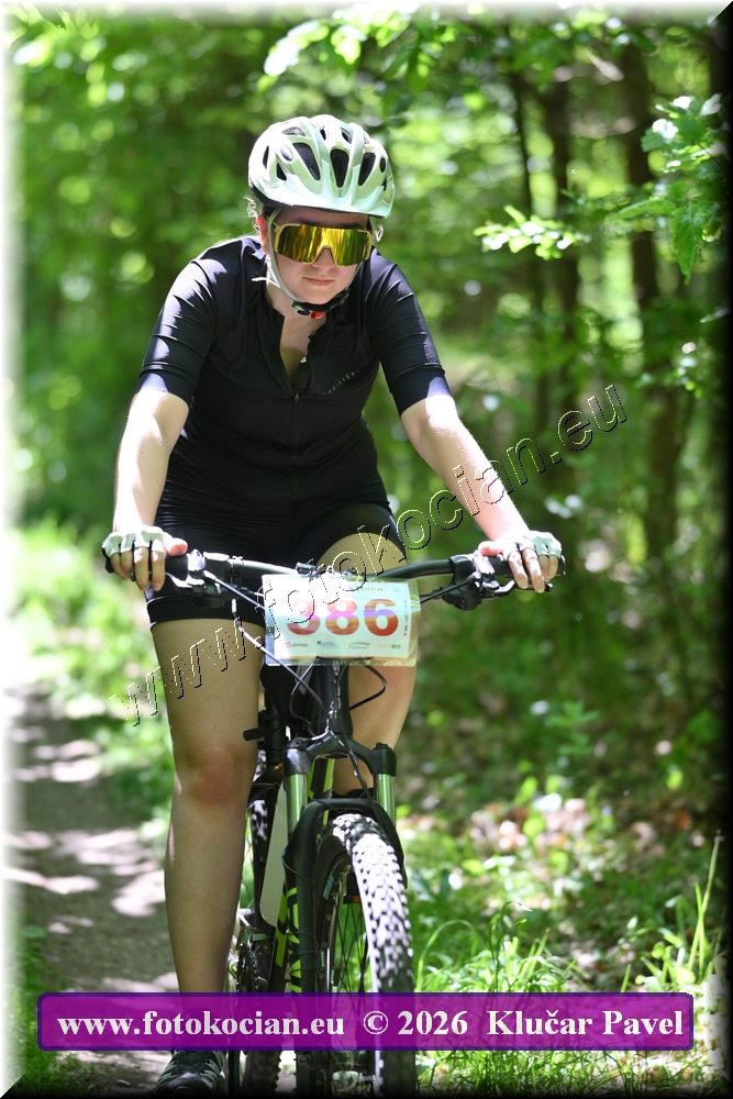 Náhled obrázku: 2026-6121-Plzen-386.JPG
