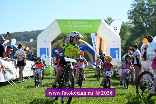 2026-2355-Plzen-.JPG