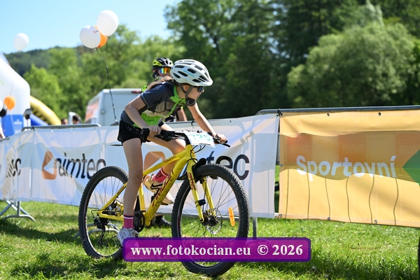 2026-3015-Plzen-.JPG