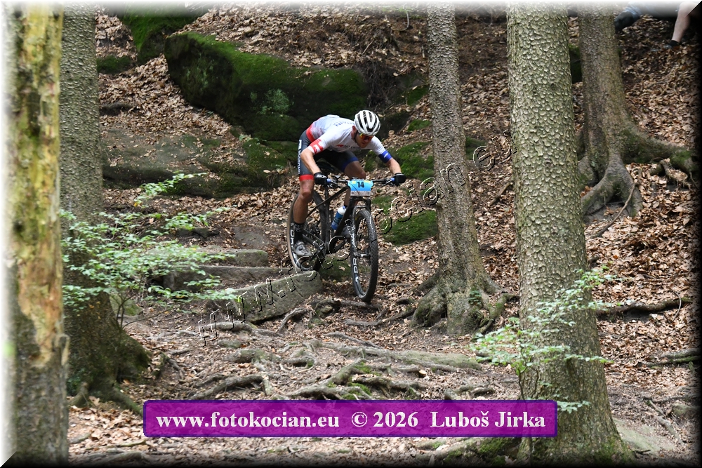 Náhled obrázku: 2026-6383-Sudety-14.JPG