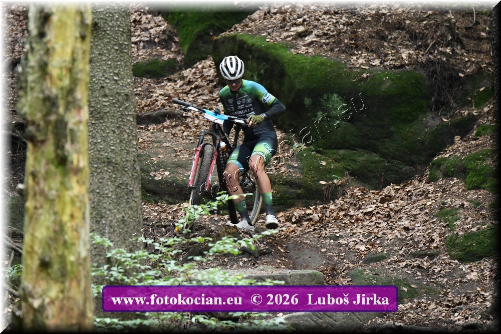 Náhled obrázku: 2026-6386-Sudety-4.JPG