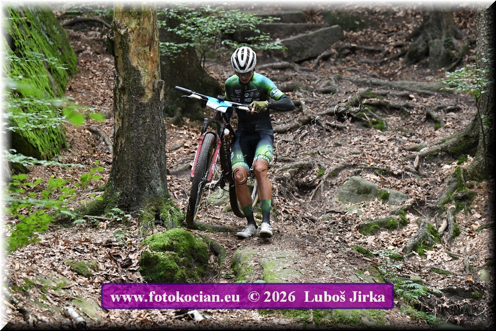 Náhled obrázku: 2026-6387-Sudety-4.JPG
