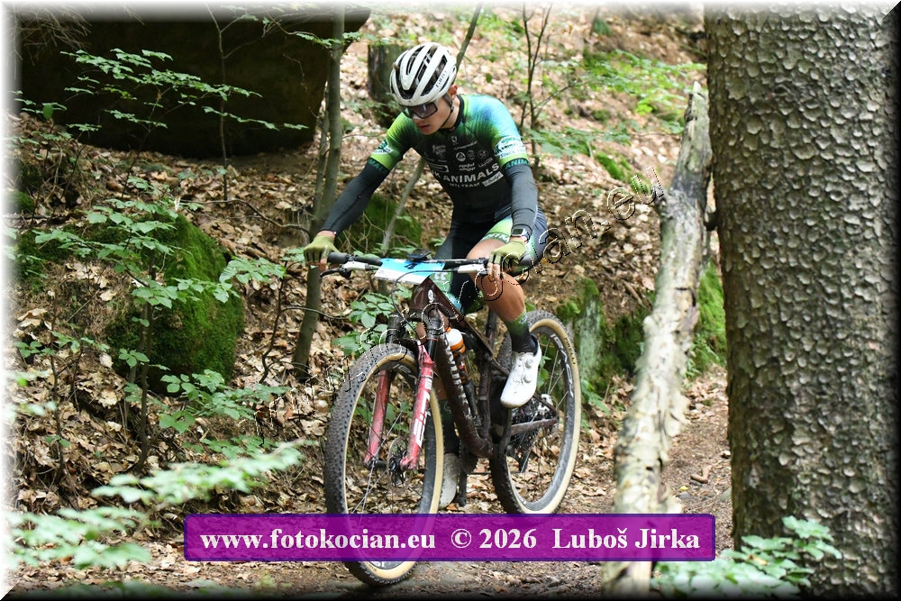 Náhled obrázku: 2026-6388-Sudety-4.JPG