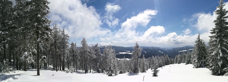 view