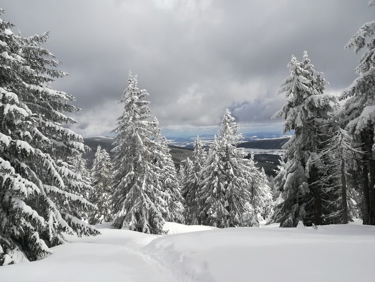 view