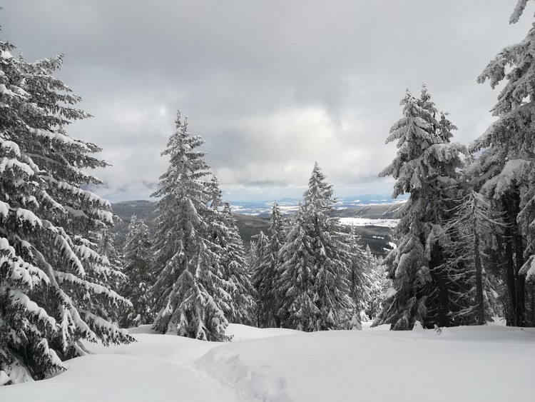 view