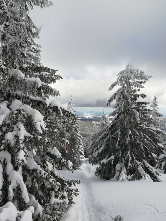view