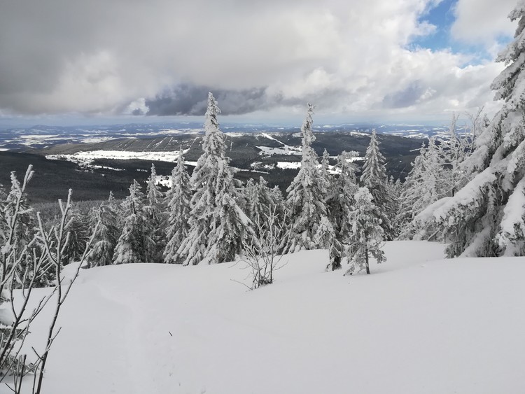 view