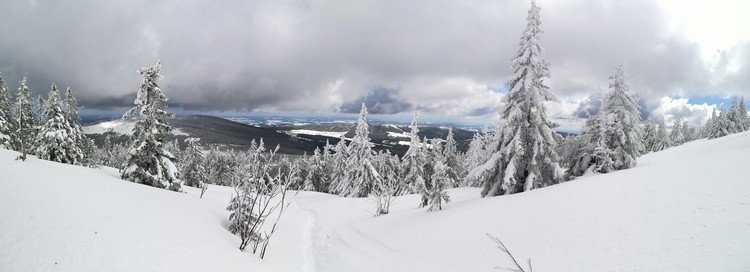 view