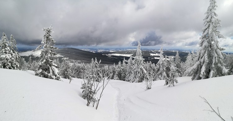 view