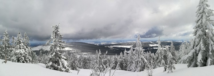 view